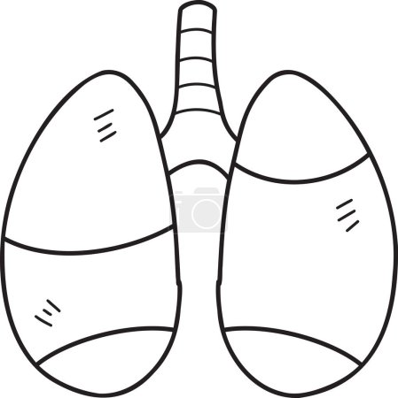 Illustration for Hand Drawn lungs illustration isolated on background - Royalty Free Image