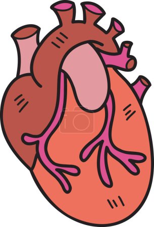 Illustration for Hand Drawn realistic heart illustration isolated on background - Royalty Free Image