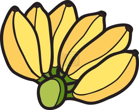 Téléchargez les illustrations : Illustration banane dessinée à la main isolée sur fond - en licence libre de droit