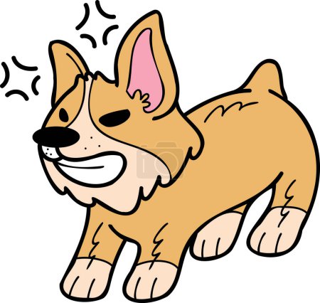 Illustration for Hand Drawn angry Corgi Dog illustration in doodle style isolated on background - Royalty Free Image