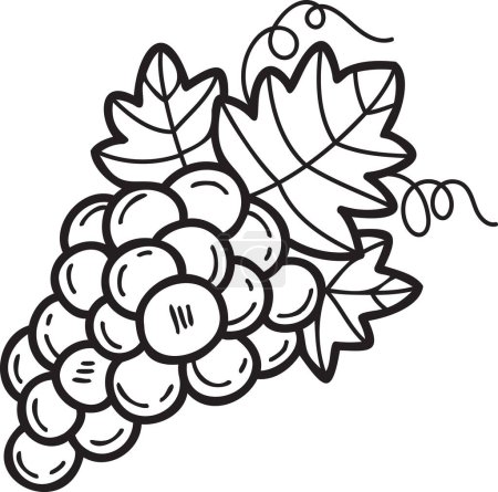 Téléchargez les illustrations : Illustration de raisin dessinée à la main dans un style doodle isolé sur fond - en licence libre de droit