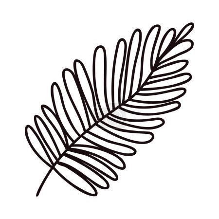 Ilustración de Hojas de palma dibujadas a mano desde la vista superior en estilo garabato aisladas sobre fondo - Imagen libre de derechos
