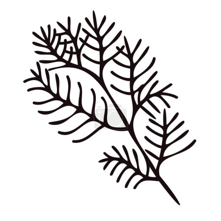 Ilustración de Hojas y ramitas dibujadas a mano desde la vista superior en estilo doodle aisladas sobre fondo - Imagen libre de derechos