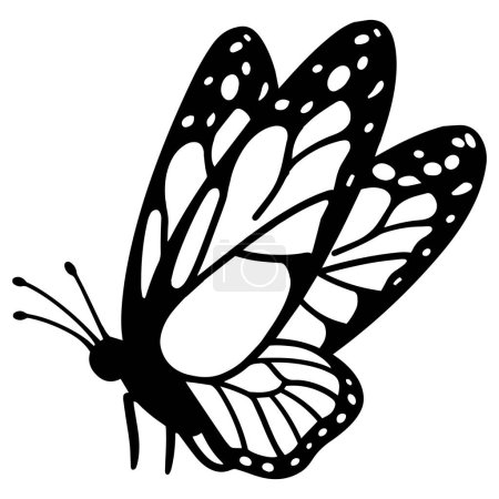 Hand Drawn butterfly in doodle style isolated on background