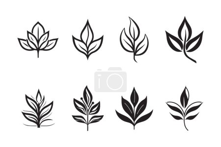 Illustration for Hand Drawn vintage leaf and flower logo in flat style isolated on background - Royalty Free Image