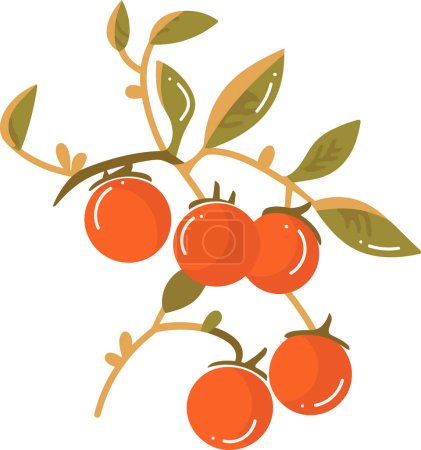 Téléchargez les illustrations : Tomates dessinées à la main avec des brindilles dans un style plat isolé sur le fond - en licence libre de droit