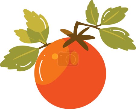 Téléchargez les illustrations : Tomates dessinées à la main avec des brindilles dans un style plat isolé sur le fond - en licence libre de droit