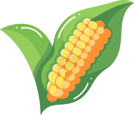Illustration for Hand Drawn Pod corn in flat style isolated on background - Royalty Free Image