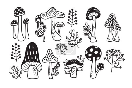 Hand Drawn Mushrooms or poisonous mushrooms in flat style isolated on background