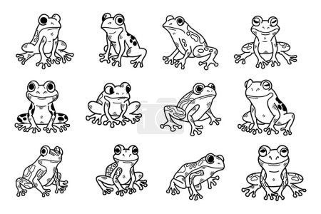 Ilustración de Una serie de 12 ranas de diferentes colores se muestran en varias poses. Las ranas son de diferentes tamaños y colores, algunos son más vibrantes que otros. Concepto de diversidad e individualidad - Imagen libre de derechos