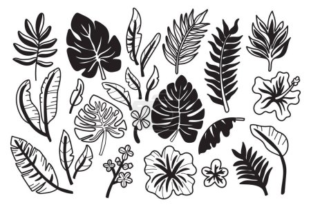Téléchargez les illustrations : Une collection de dessins en noir et blanc de diverses plantes et fleurs tropicales. La scène est sereine et paisible, les plantes et les fleurs semblant être dans un cadre naturel - en licence libre de droit