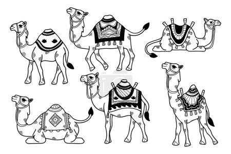 Illustration for A set of black and white drawings of camels with different colored blankets. The camels are all different sizes and are sitting or standing in various poses - Royalty Free Image