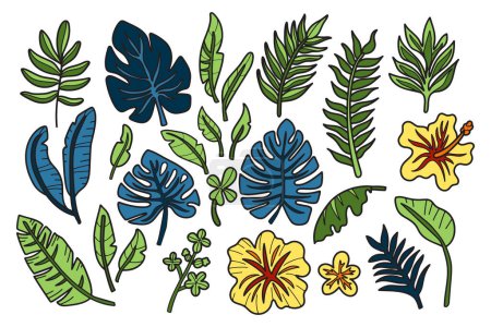 Ilustración de Una colección de dibujos en blanco y negro de varias plantas tropicales y flores. La escena es serena y pacífica, con las plantas y flores que parecen estar en un entorno natural - Imagen libre de derechos