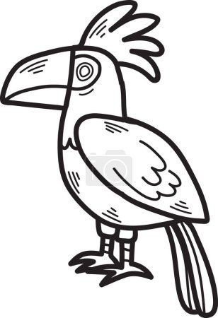 Téléchargez les illustrations : Dessin noir et blanc d'un oiseau avec un grand bec et une queue colorée. L'oiseau est debout sur une jambe et regarde la caméra - en licence libre de droit