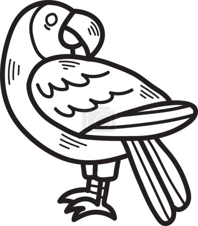Ilustración de Un dibujo en blanco y negro de un pájaro con un pico grande y una cola colorida. El pájaro está de pie en una pierna y mirando a la cámara - Imagen libre de derechos