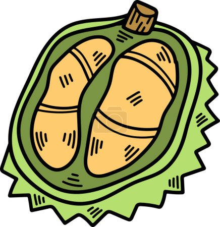 Illustration for A hand drawn delicious durian illustration in line style - Royalty Free Image
