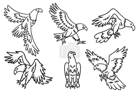 Das Bild besteht aus sechs Zeichnungen von Vögeln im Flug. Die Vögel sind alle unterschiedlich groß und stehen in verschiedenen Winkeln, wobei einige stehen und andere fliegen. Die Zeichnungen sind alle schwarz