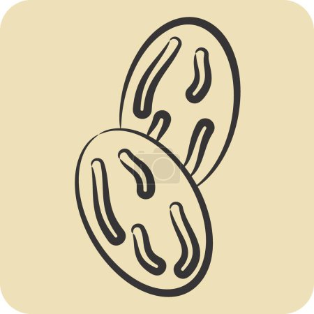 Icône noix de muscade. lié au symbole Spice. style dessiné à la main. conception simple modifiable. illustration simple