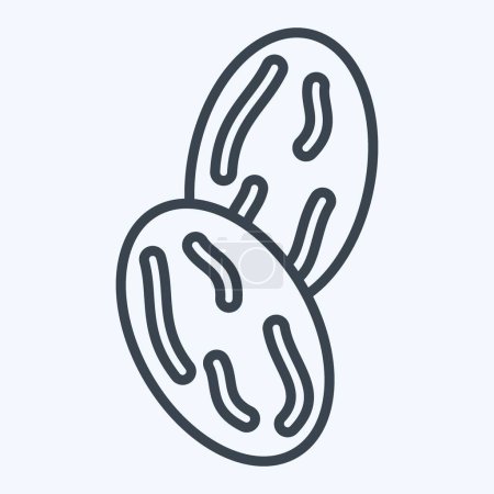 Icône noix de muscade. lié au symbole Spice. style ligne. conception simple modifiable. illustration simple