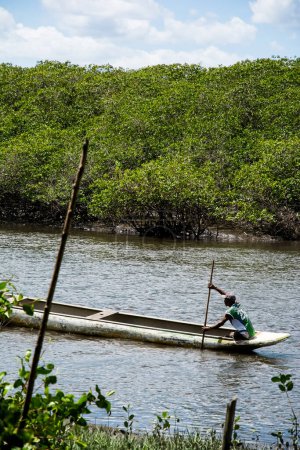 Téléchargez les photos : Aratuipe, Bahia, Brésil - 31 août 2018 : Un pêcheur pagayant sur le lit de la rivière Jaguaripe dans la ville d'Aratuipe, Bahia. - en image libre de droit