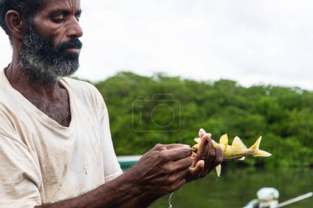Téléchargez les photos : Aratuipe, Bahia, Brésil - Le 31 août 2018 : Un pêcheur tient des poissons jaunes dans sa main contre la forêt verte en arrière-plan dans la ville d'Aratuipe, au Brésil. - en image libre de droit