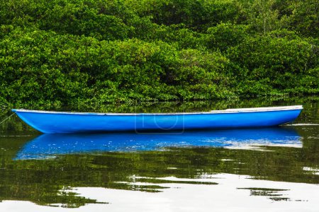 Téléchargez les photos : Bateau debout sur la rivière contre la forêt verte en arrière-plan. Aratuipe, Bahia, Brésil. - en image libre de droit