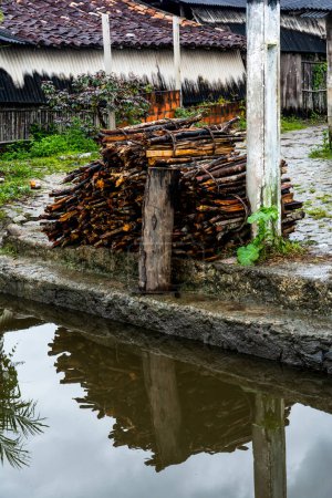 Téléchargez les photos : Reflet du bois empilé et de la végétation dans l'eau d'une rivière. Aratuipe, Bahia. - en image libre de droit