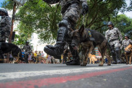 Foto de Salvador, Bahía, Brasil - 07 de septiembre de 2016: Soldados y perros militares son vistos en el desfile de la independencia de Brasil en Salvador, Bahía. - Imagen libre de derechos