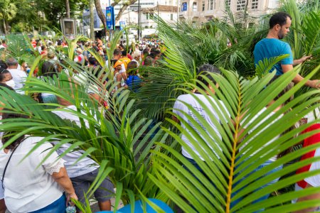 Téléchargez les photos : Salvador, Bahia, Brésil - Abril 02, 2023 : Les catholiques ramassent des branches de palmier pour la procession du dimanche des Rameaux à Salvador, Bahia. - en image libre de droit