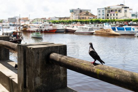 Foto de Valenca, Bahía, Brasil - 10 de enero de 2023: Vista del río Una que fluye a través de la ciudad turística de Valenca en el estado brasileño de Bahía. río navegable. - Imagen libre de derechos