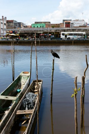 Foto de Valenca, Bahia, Brasil - 10 de enero de 2023: Vista del río Una rodeada de plantas, árboles y edificios comerciales. Ciudad turística de Valenca en el estado brasileño de Bahía. río navegable. - Imagen libre de derechos