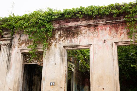 Téléchargez les photos : Aratuipe, Bahia, Brésil - 21 juin 2022 : Ruines d'une vieille maison avec des plantes sur le dessus. Situation d'abandon architectural. Ville d'Aratuipe, Bahia. - en image libre de droit