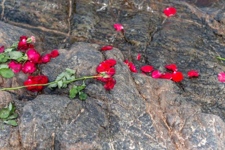 Red flowers thrown on a beach rock. Tribute to iemanja.