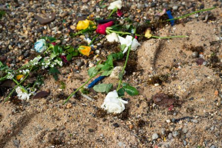 Flowers on the beach sand. Religious tribute. Salvador, Bahia.