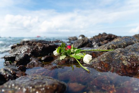 Flowers on top of a beach rock. Tribute to iemanja.