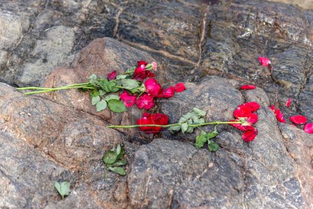 Fleurs rouges jetées sur un rocher de plage. Hommage à iemanja.