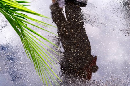 Photo for Salvador, Bahia, Brazil - April 14, 2019: Reflection of Catholic people is seen on the wet ground during Palm Sunday celebration in the city of Salvador, Bahia. - Royalty Free Image