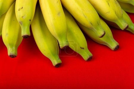 Photo for Close-up of a bunch of ripe bananas. Isolated on red background. - Royalty Free Image