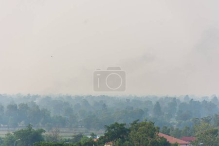 Foto de Incendios forestales causados por humanos se están extendiendo. el humo es contaminación - Imagen libre de derechos