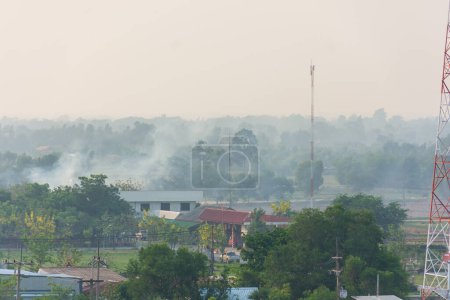 Foto de Incendios forestales causados por humanos se están extendiendo. el humo es contaminación - Imagen libre de derechos
