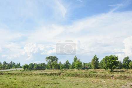 Green fields and sky in the rainy season