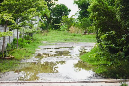 Flooding on the road in front of the house