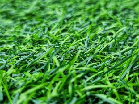 Photo for Artificial Grass Field. Close up macro shot. blur and focus at select point. - Royalty Free Image