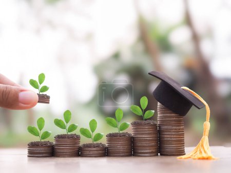 Graduation hat and plants growing up on stack of coins. The concept of saving money for education, student loan, scholarship, tuition fees in the future