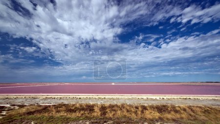 Téléchargez les photos : The spectacular deep pink Giraud Salt Flats shimmer under the blue sky - en image libre de droit