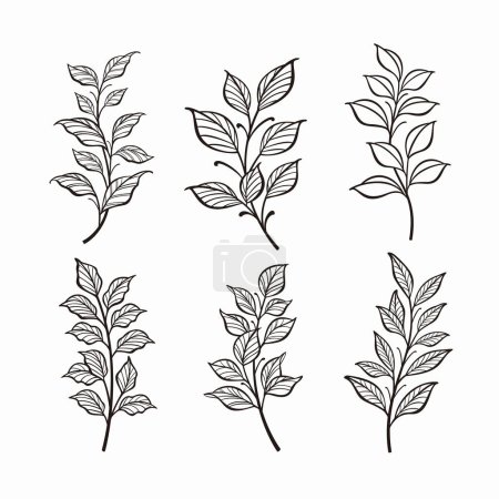 Téléchargez les illustrations : Eléments botaniques tendance, ligne dessinée à la main feuilles branches et floraison - en licence libre de droit
