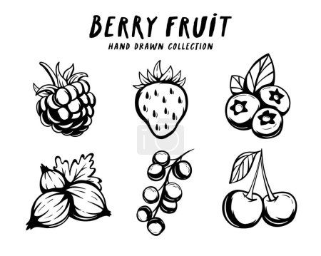 Berry fruit hand drawn concept on white background