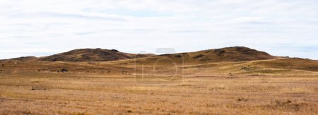 Foto de Paisaje de la meseta del Tíbet. Hierba silvestre amarilla sobre el fondo del cielo nublado. Una vista del paisaje de las colinas secas. Increíble vista de una llanura desolada en un día nublado con hierba seca en primer plano. - Imagen libre de derechos