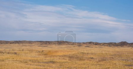 Savanne bedeckt mit trockenem, gelbem Gras und Hügeln in der Ferne. Weiße Wolken am blauen Himmel. Wüste in Namibia. Heißer Tag. Reise nach Afrika.