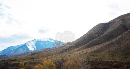 a gently sloping hillside leading to snow-capped mountains, with autumnal trees dotting the foreground under a soft cloud-filled sky, creating a tranquil and contrasting seasonal scene.